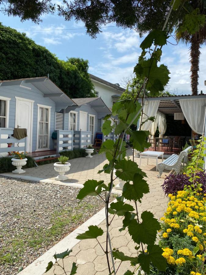 Эко Домики У Моря В Гаграх Gagry Exterior photo